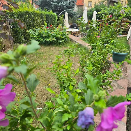 Apartmanski Smestaj Solaris Kod Aqua Parka דירה