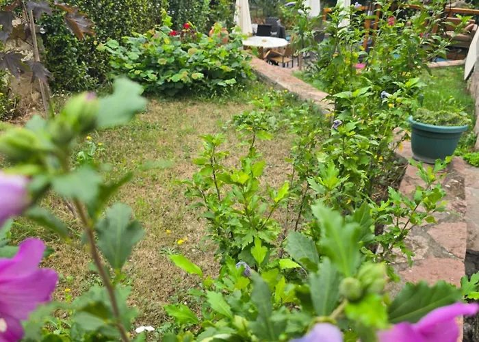 Apartmanski Smestaj Solaris Kod Aqua Parka 아파트